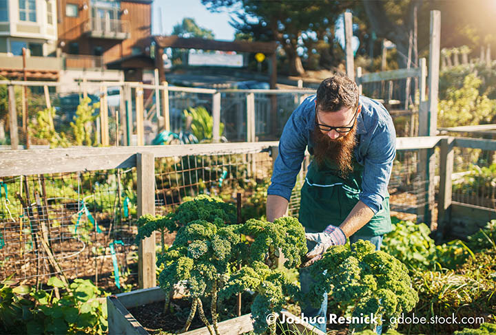 Gemüsegarten mieten und urbaner Farmer werden So funktioniert es