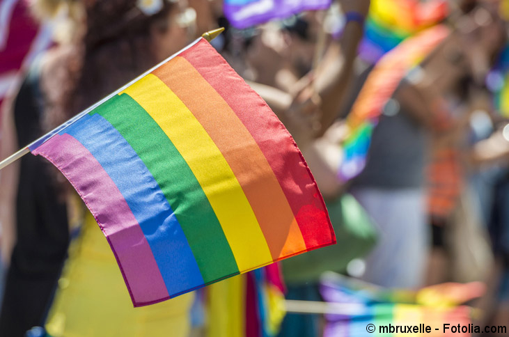 Regenbogen-Flagge bei GayPride-Parade