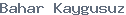 public name