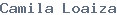 public name