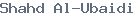public name