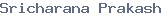 User name