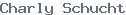 public name