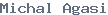 public name