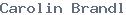 public name