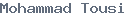 public name