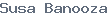 public name