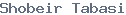 public name