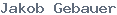 public name