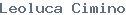 public name