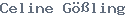 public name