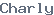 public name