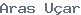 public name