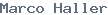 public name