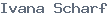 public name