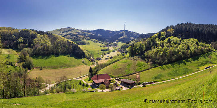 Grüne Hügellandschaft teils mit Tannenwäldern bewachsen. Im Vordergrund ein kleiner Hof. Am Horizont ein Windrad.