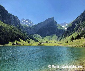 Der Seealpsee mit blauem Wasser und dem Alpsteingebirge im Hintergrund.