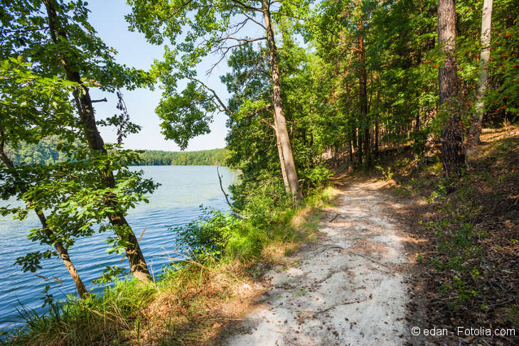 Rechts ein Waldweg umgeben von Bäumen. Links der Teil eines Sees.