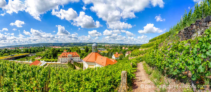 Spazierweg in den Weinbergen bei schönem Wetter. Blick auf eine kleine Kirche und ein weiteres Haus.