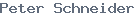 public name