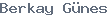 public name
