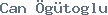 public name