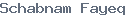 public name