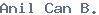 public name
