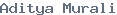 public name