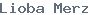 public name